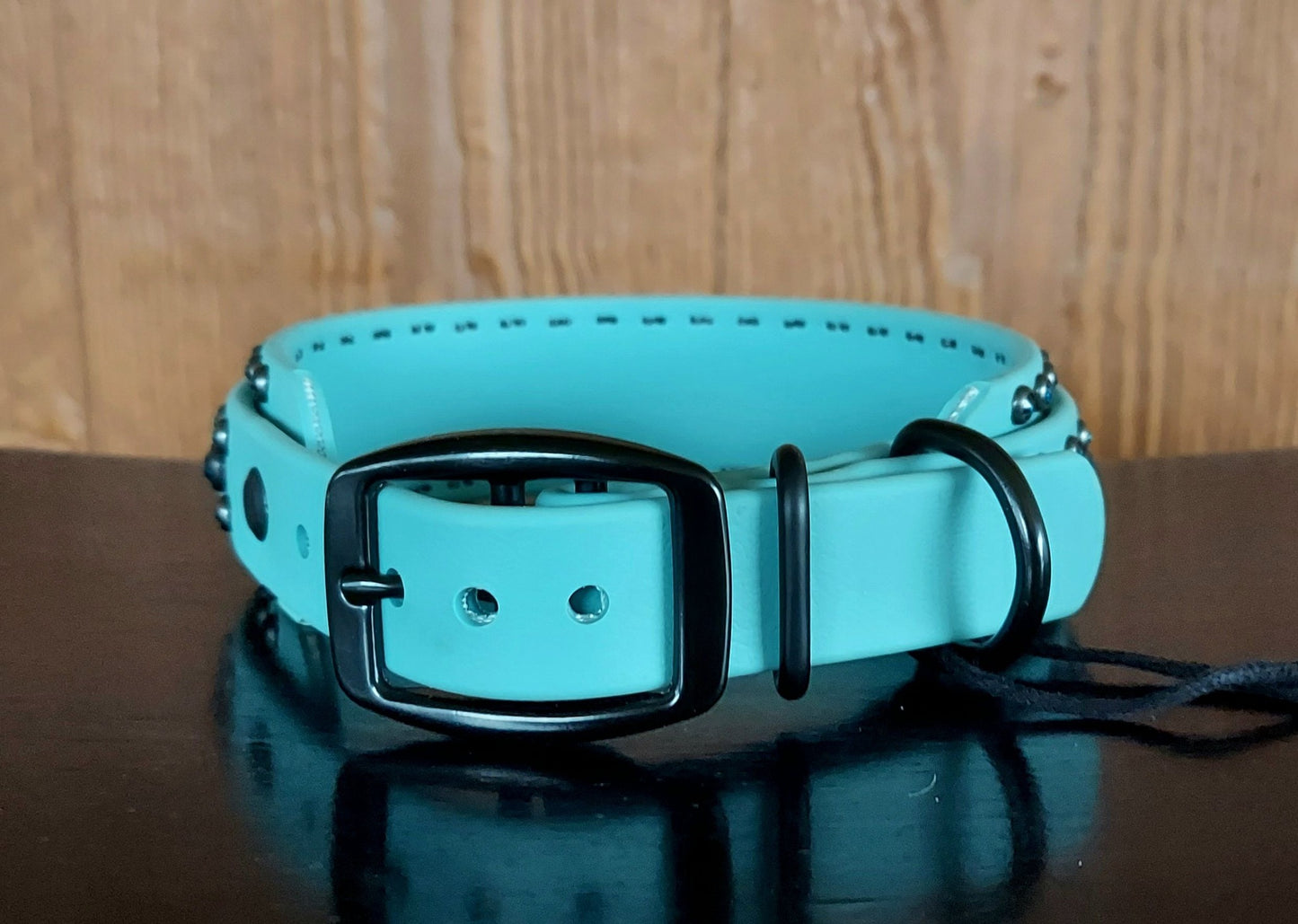 Aspire Double Layer Buckle Collar - Turquoise