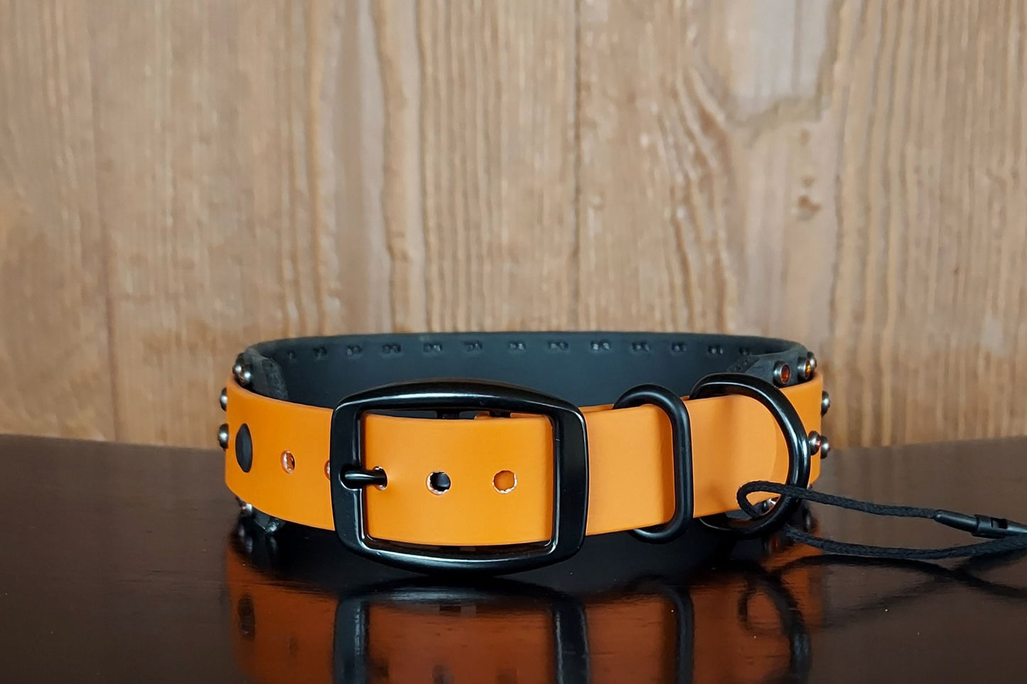 Sunburst Buckle Collar