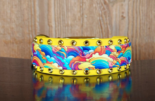 Abstract Rainbow Buckle Collar