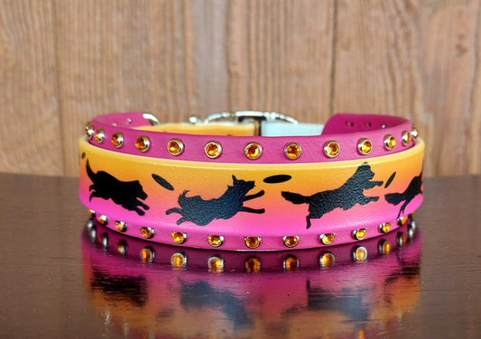 Disc Dogs PINK Buckle collar