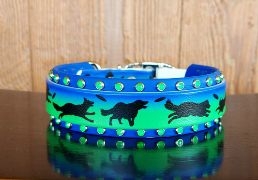 Disc Dogs BLUE Buckle collar