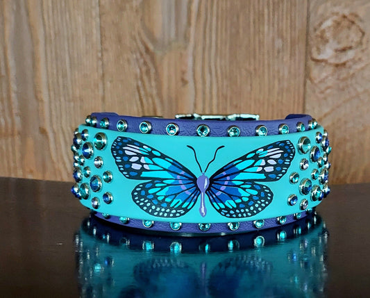 Butterfly 2" Buckle Collar