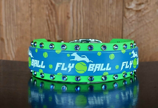 Flyball Buckle Collar