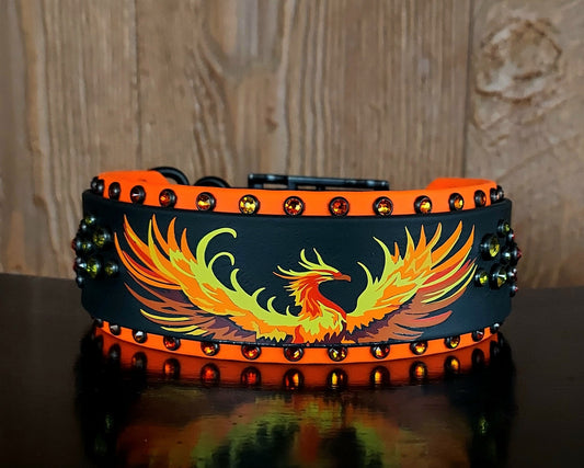 The Phoenix 2" Buckle Collar