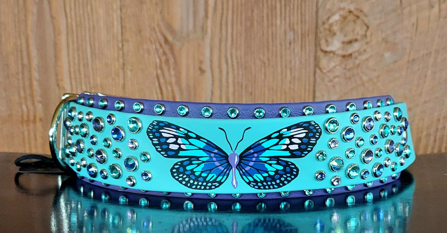 Butterfly 2" Buckle Collar
