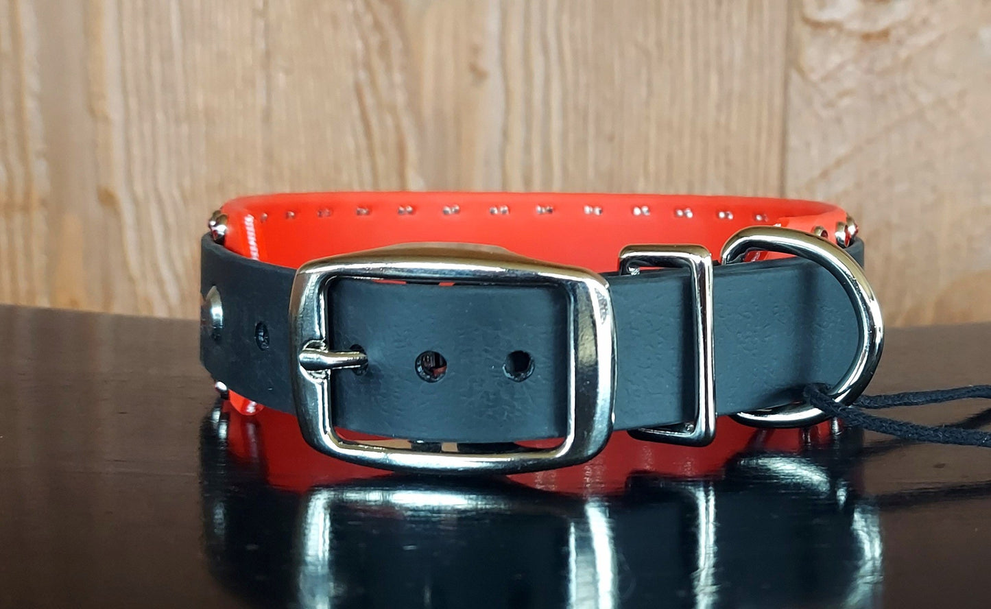 Speed Demon Buckle Collar