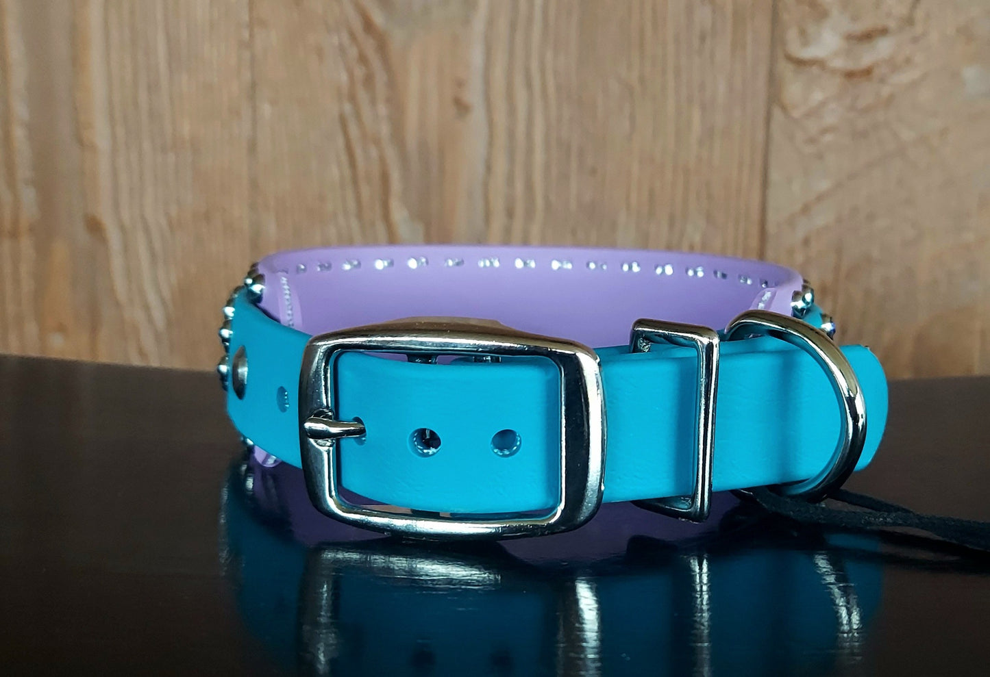 Regal AQUA Buckle Collar