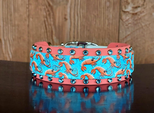 Shrimpies Buckle Collar