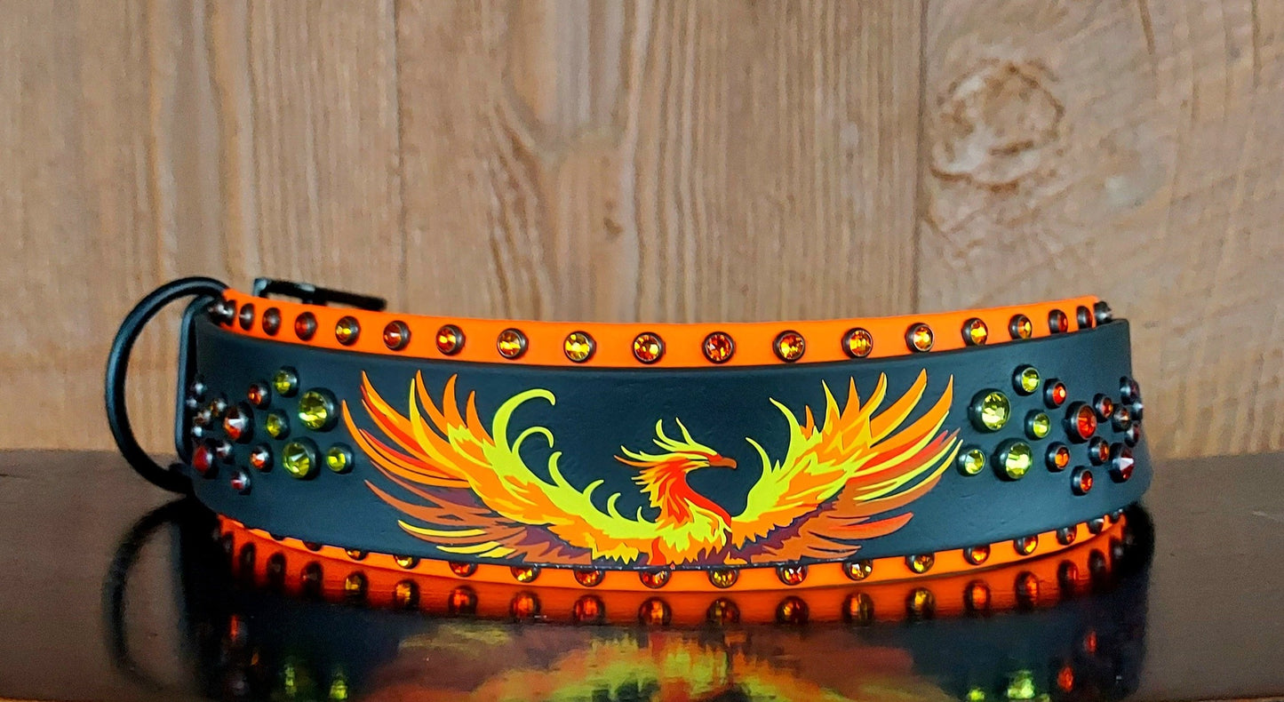 The Phoenix 2" Buckle Collar