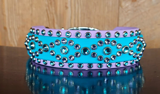 Regal AQUA Buckle Collar