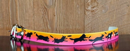 Disc Dogs PINK SINGLE layer Buckle Collar