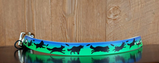 Disc Dogs BLUE SINGLE layer Buckle Collar