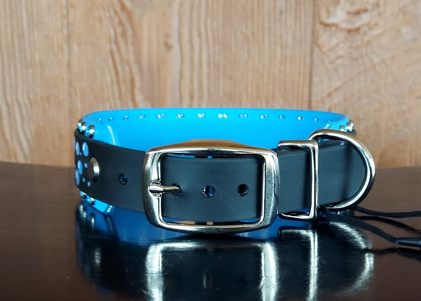 Shark Party Buckle Collar