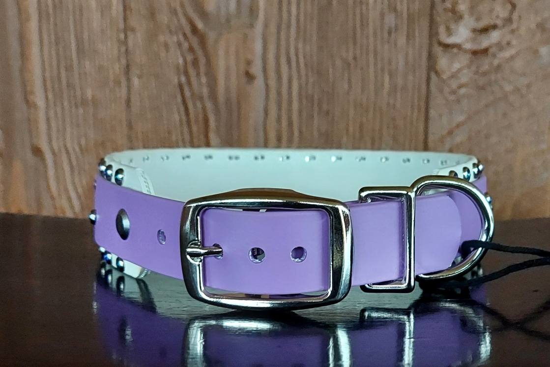 Dandelion Transformation Buckle Collar