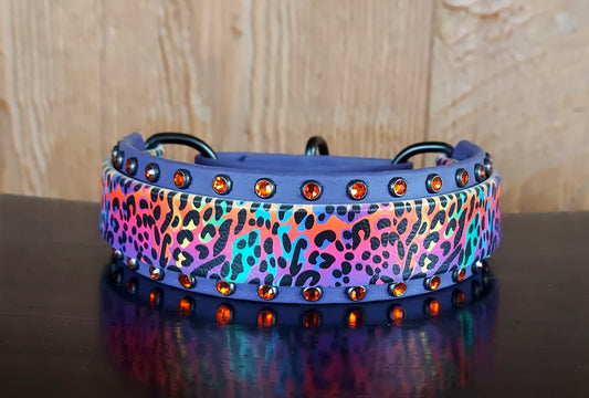 Neon Leopard Martingale Collar