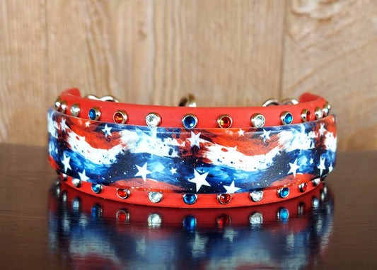 American Grunge Martingale Collar