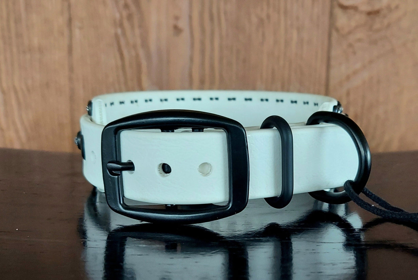 Regal WHITE Buckle Collar