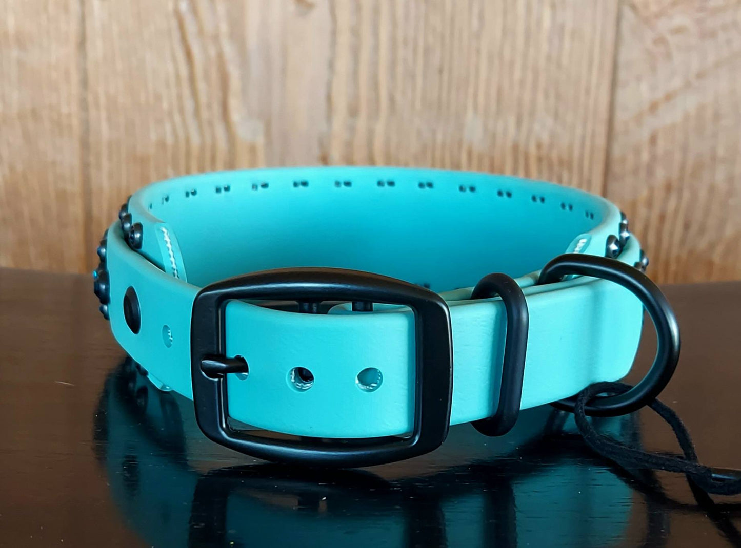 Aspire DUSTY TURQUOISE SET:  Buckle Collar PLUS Leash!