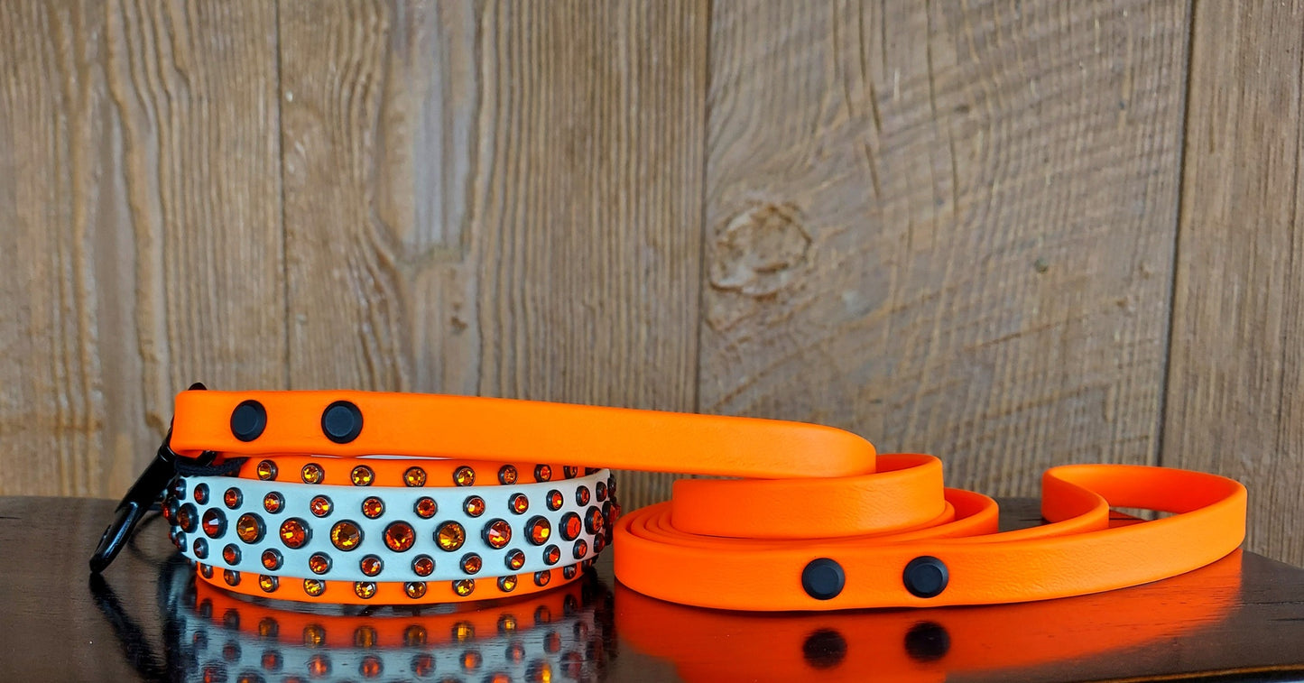 Aspire NEON ORANGE SET:  Buckle Collar PLUS 6ft Leash!