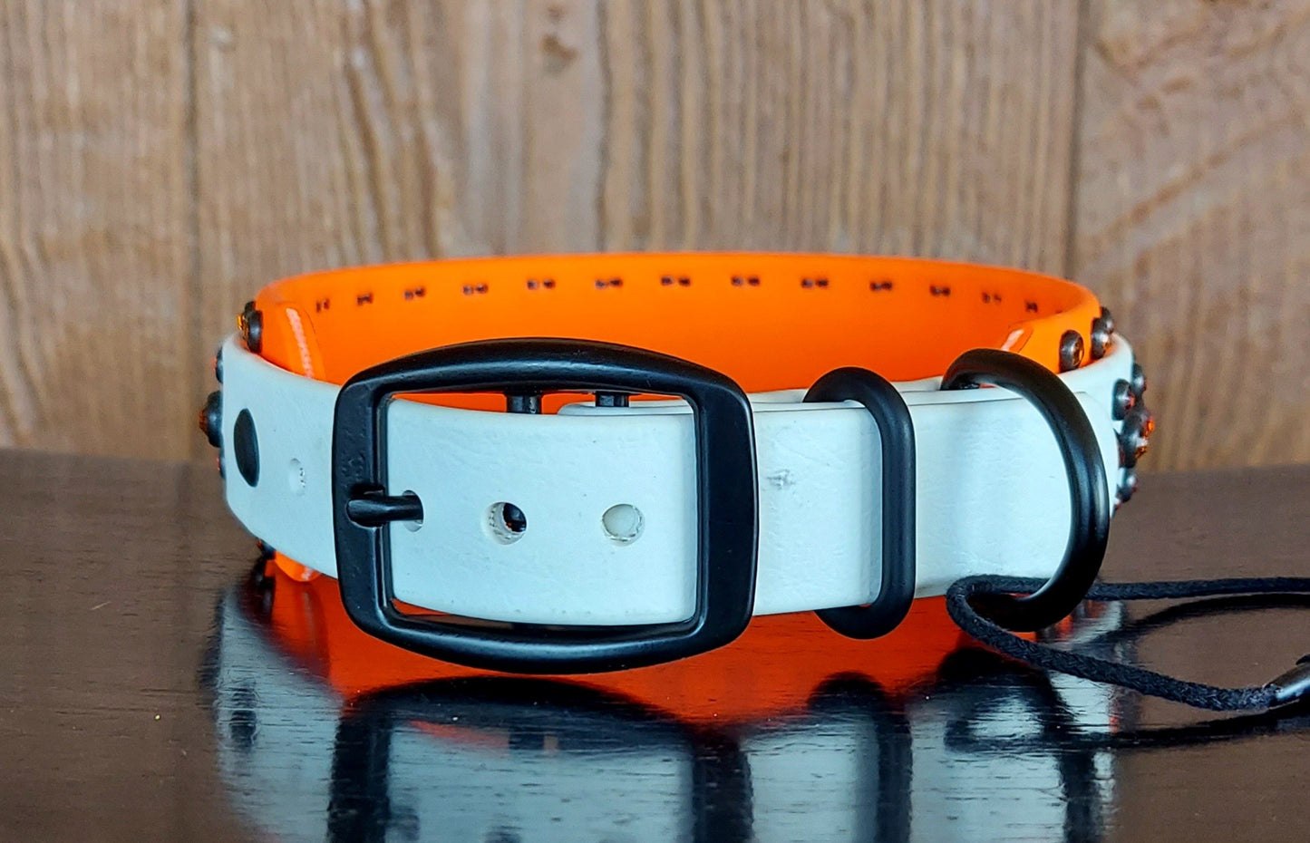 Aspire NEON ORANGE SET:  Buckle Collar PLUS 6ft Leash!