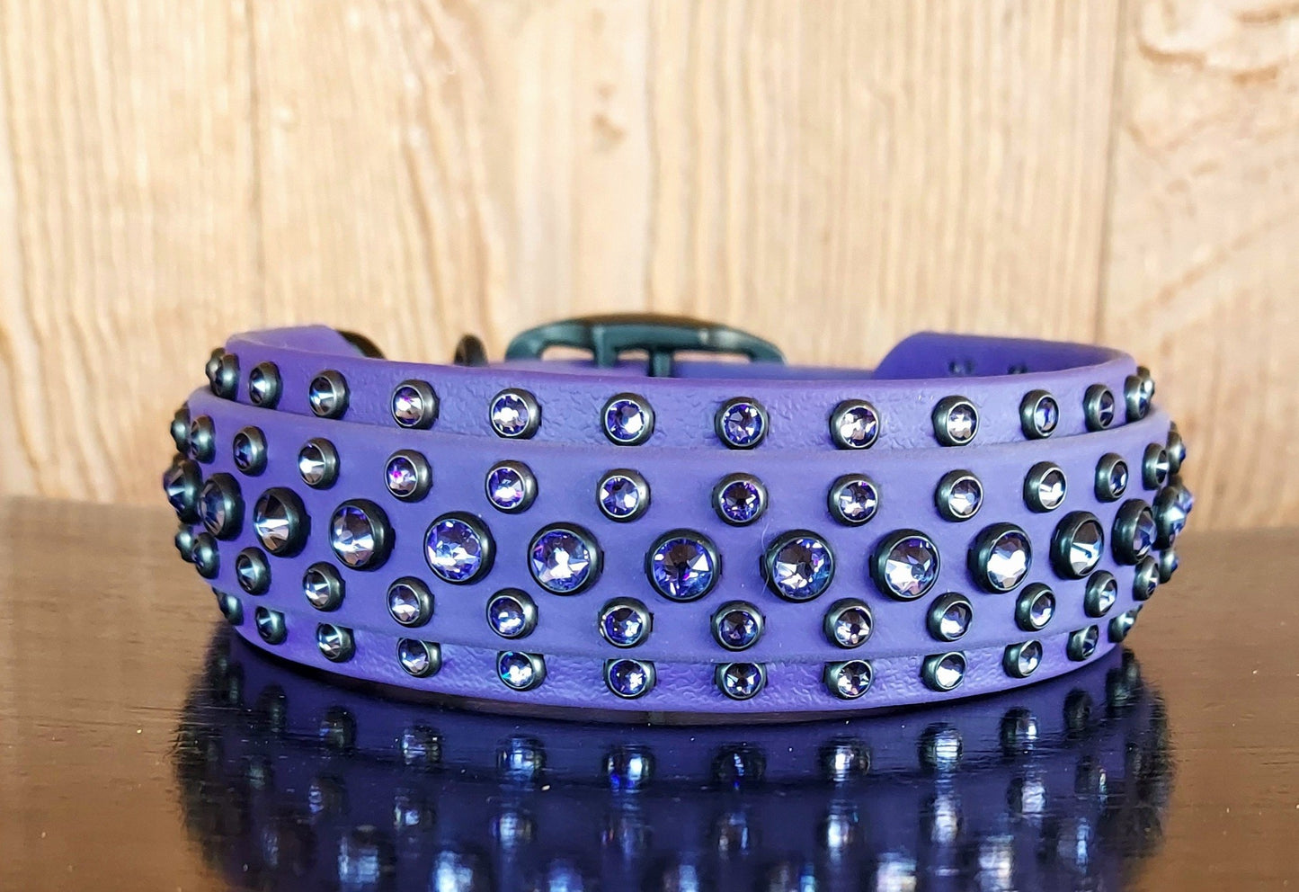 Aspire PURPLE SET:  Buckle collar PLUS 5ft long leash!