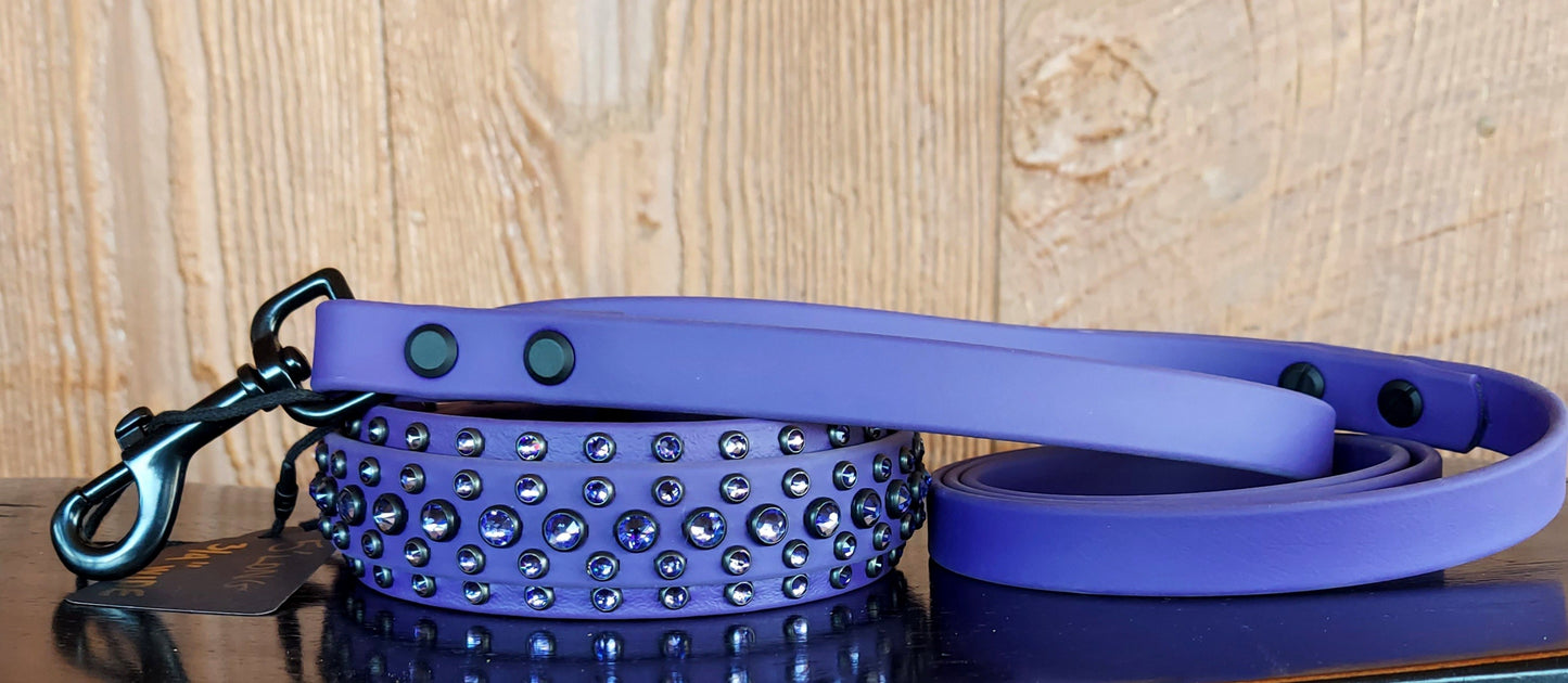Aspire PURPLE SET:  Buckle collar PLUS 5ft long leash!