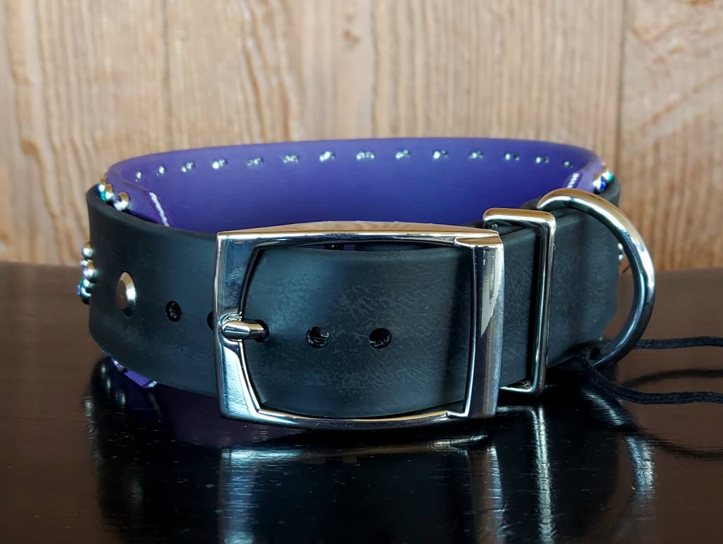 The Phoenix COOL Buckle Collar