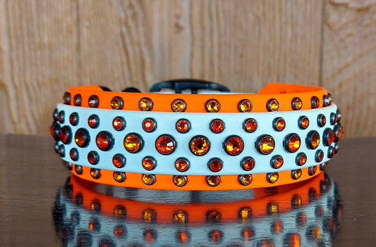 Aspire NEON ORANGE SET:  Buckle Collar PLUS 6ft Leash!