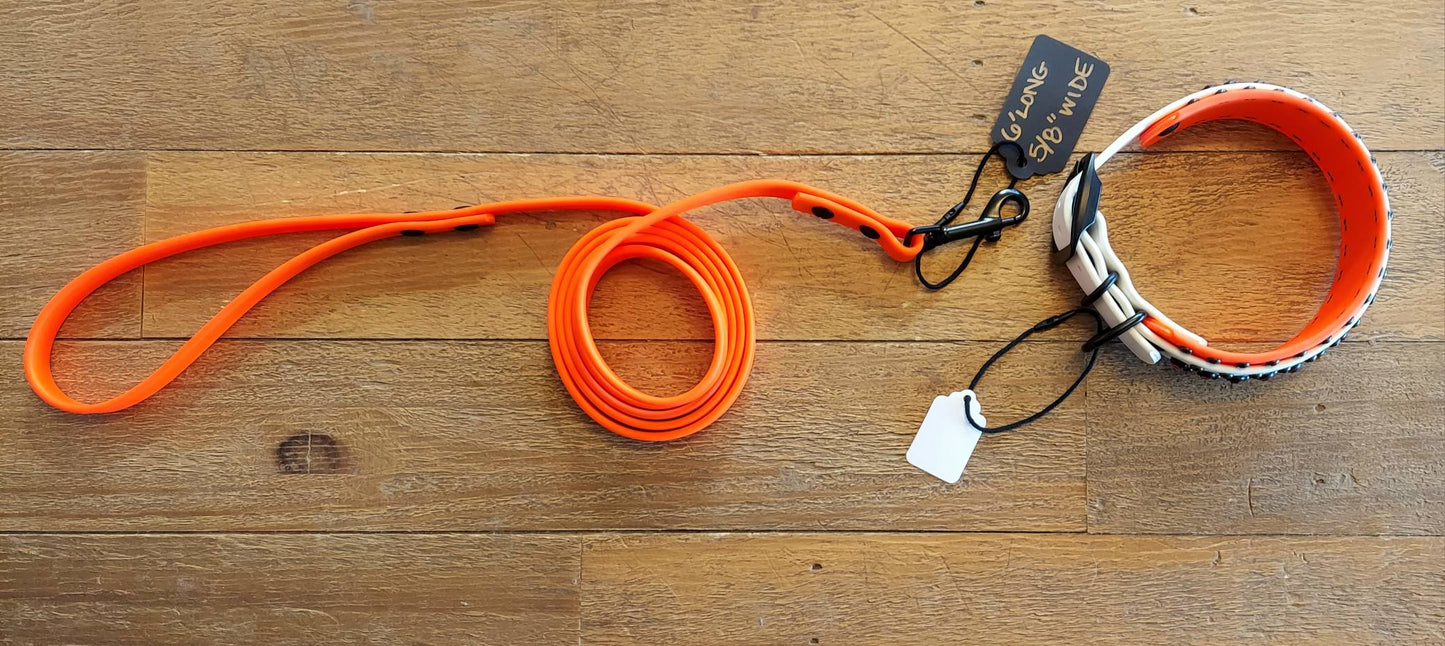 Aspire NEON ORANGE SET:  Buckle Collar PLUS 6ft Leash!