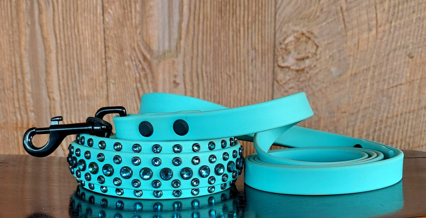Aspire DUSTY TURQUOISE SET:  Buckle Collar PLUS Leash!