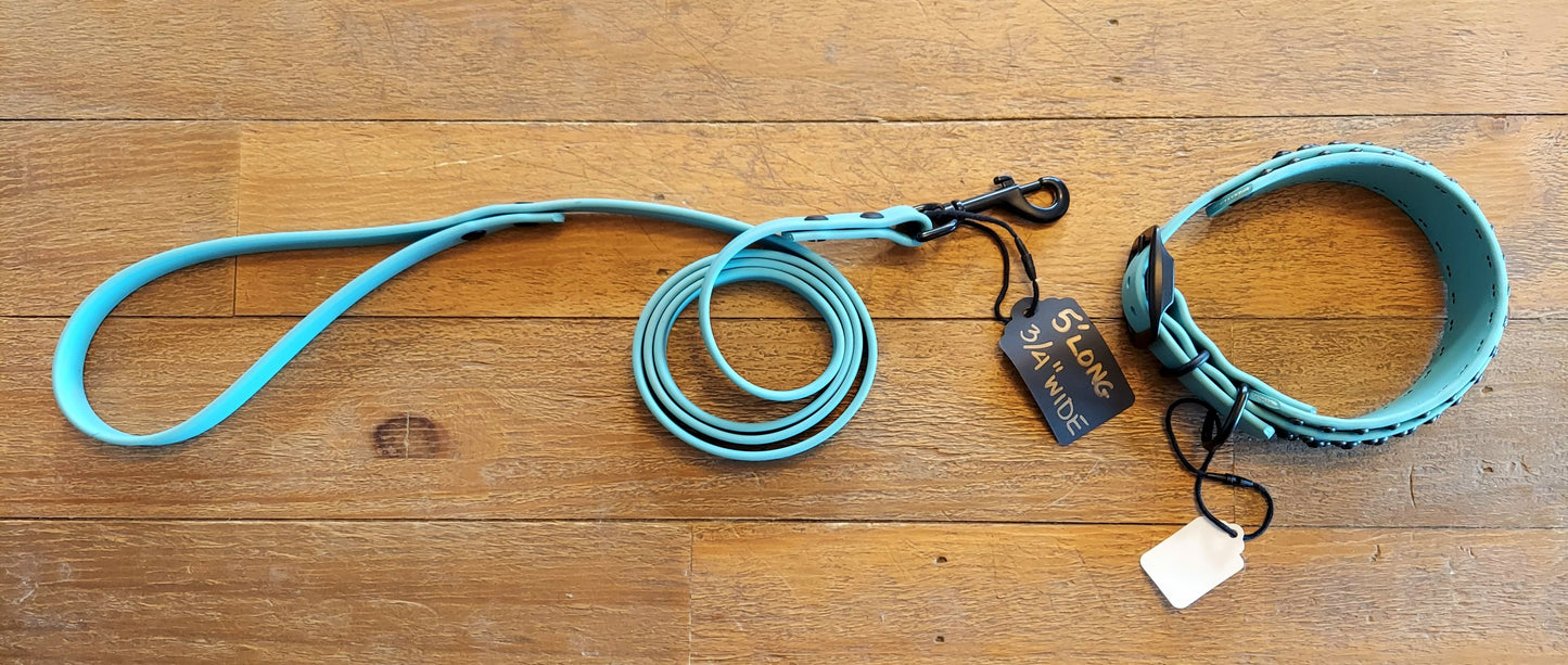 Aspire DUSTY TURQUOISE SET:  Buckle Collar PLUS Leash!