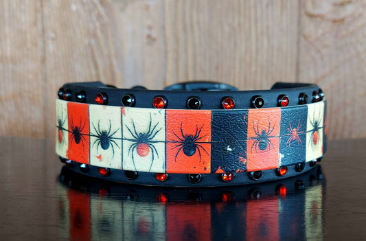 Spider Blocks Buckle Collar