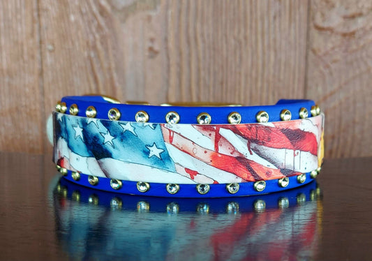 American Eagle Buckle Collar