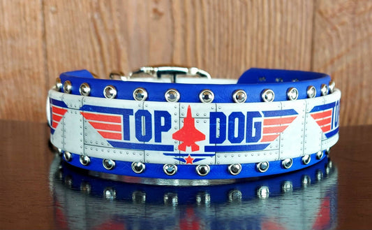 Top Dog Buckle Collar