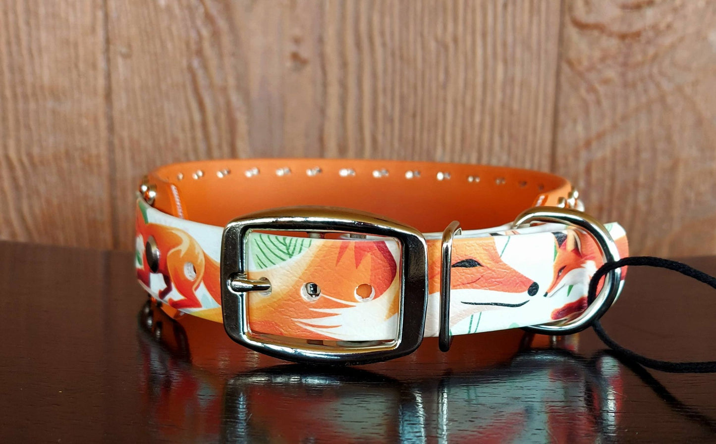 Sly Fox Buckle Collar