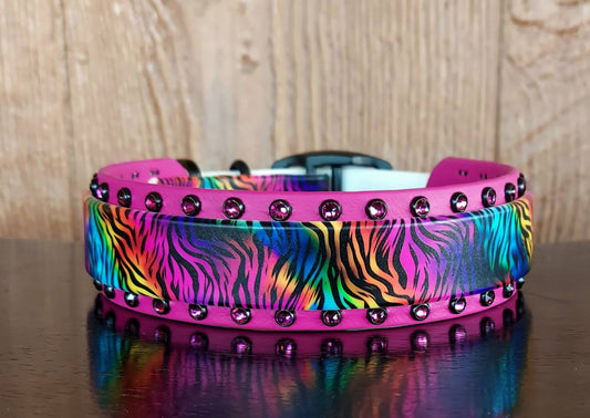 Neon Tiger Buckle Collar