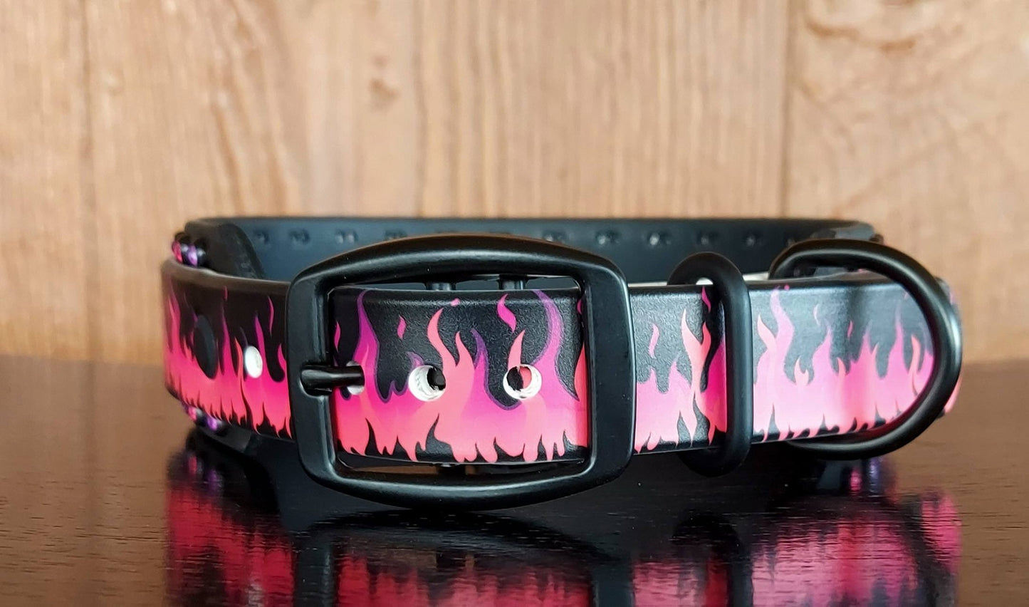 Flamin' Hot - PINK Buckle Collar