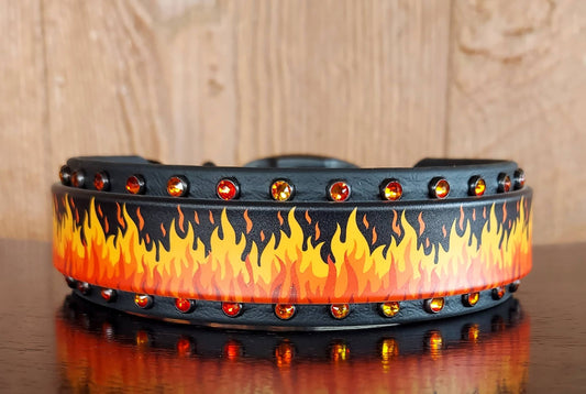 Flamin' Hot - ORANGE Buckle Collar
