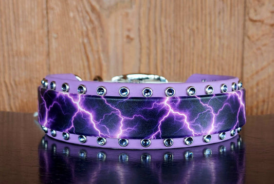 Purple Lightning Buckle Collar