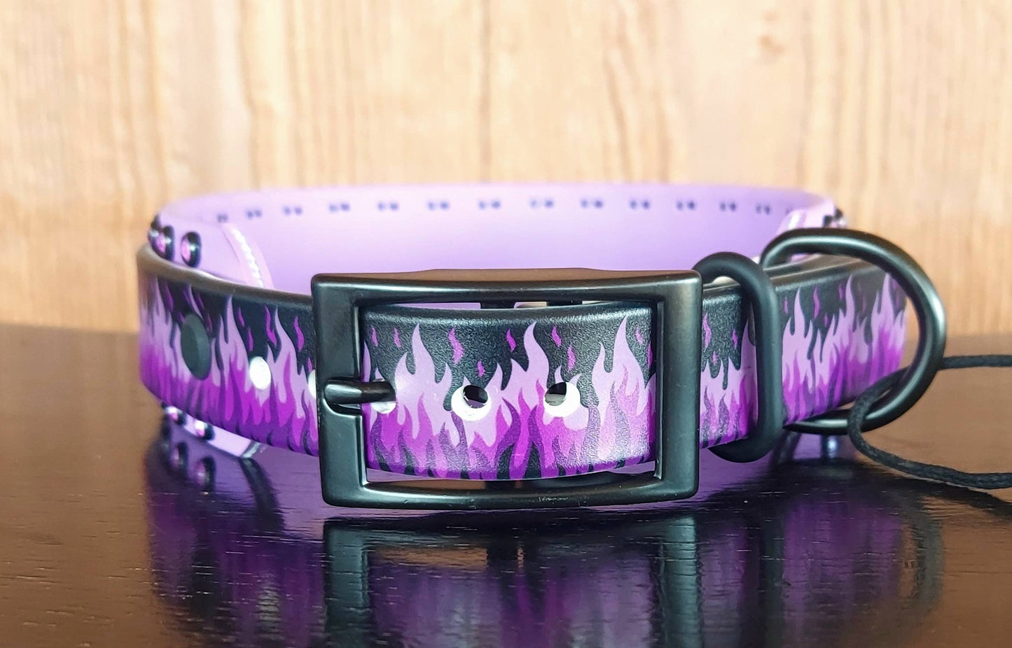 Flaming Hot PURPLE Buckle Collar