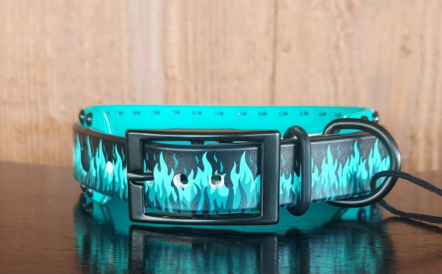 Flamin Hot TEAL Buckle Collar