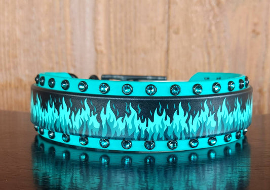 Flamin Hot TEAL Buckle Collar