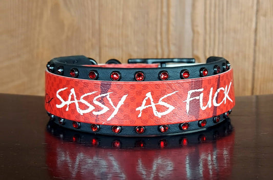 Sassy AF Buckle Collar