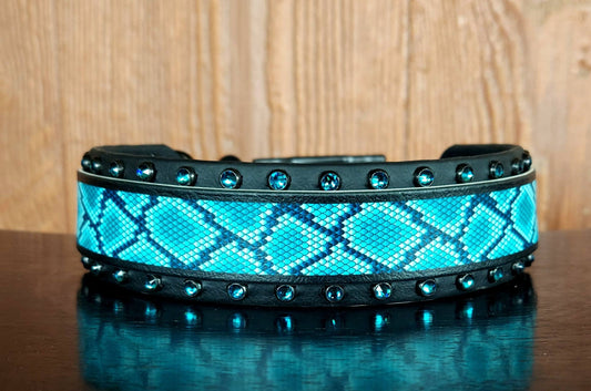 Teal Snakeskin Buckle Collar