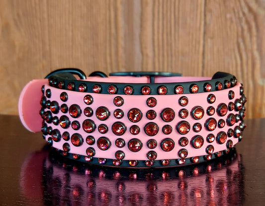 Zenith Buckle Collar - PINK/BLACK