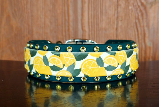 Lemons UV Printed Buckle Collar