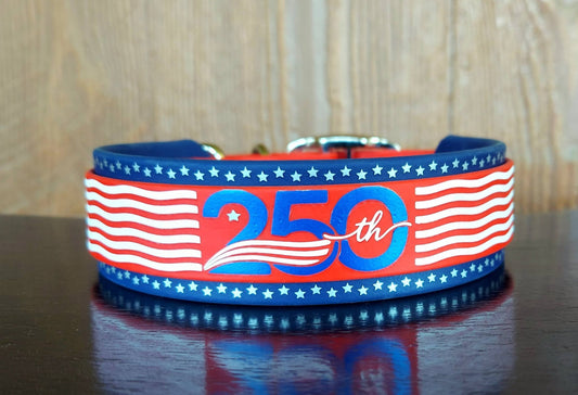 250th Buckle Collar