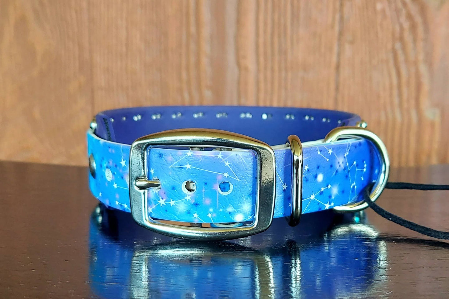 Astro Buckle Collar