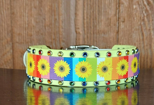 Sunflower Pride Buckle Collar