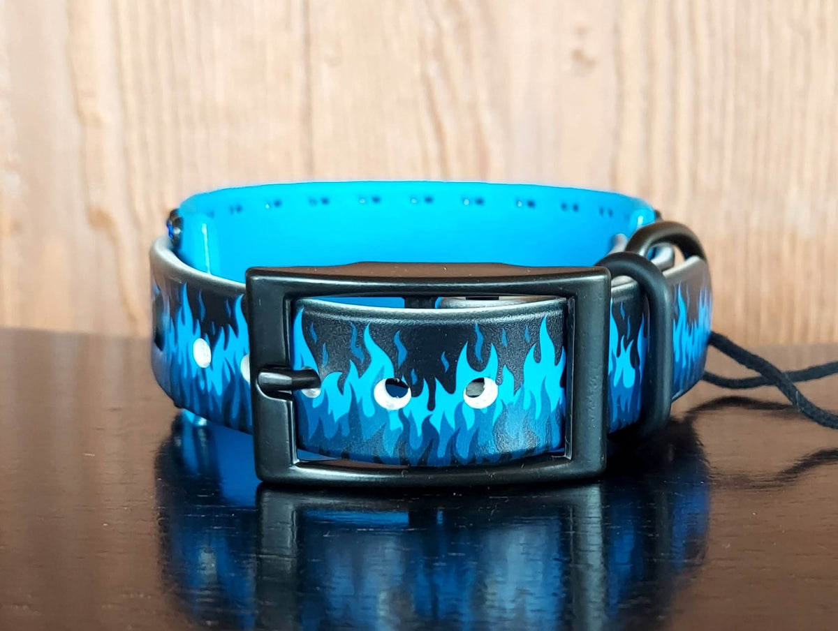 Flamin Hot BLUE Buckle Collar